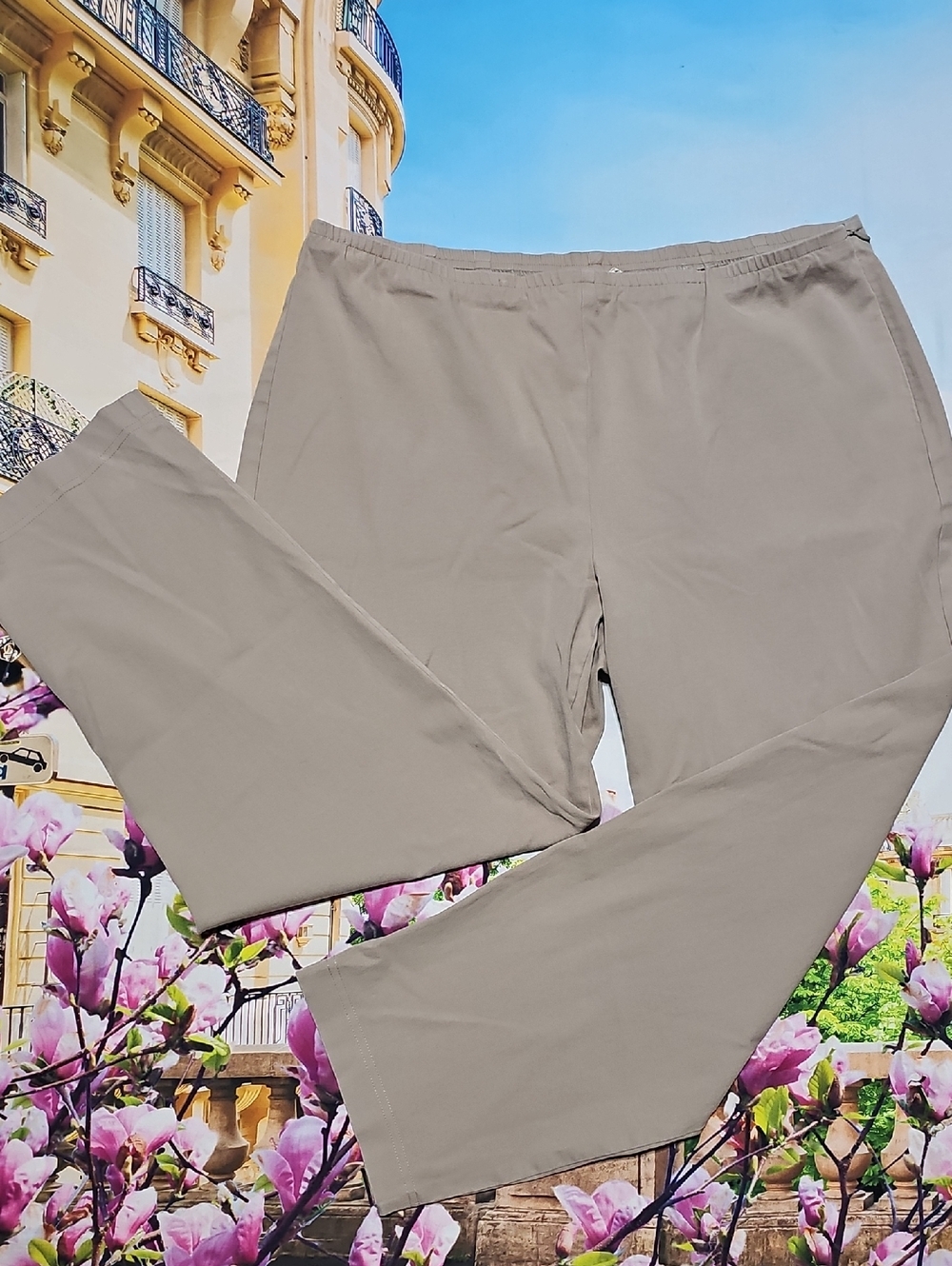 Eileen Fisher Tan Pants Size Petite Large